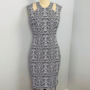 Brand New Cache dress